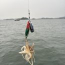 피싱펜션 이미지