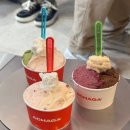 문화광장길 | [안동] 안동 문화광장길 젤라또 맛집 아차가ACHAGA, 6년 연속 블루리본, 웨이팅 존맛/맘모스 제과 크림...