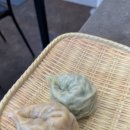 선비칼국수 성남고등점