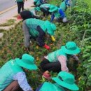 신양면행정복지센터 이미지