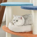 초이스타워 이미지