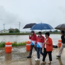 망성면 행정복지센터 이미지