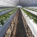 노티농장 이미지