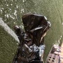 자랑하개 이미지