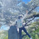 광교공영주차장 이미지