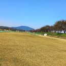 ⛳⛳ 파크골프 하수 탈출 7계명 ⛳⛳ 이미지