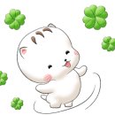 비케이엠 이미지