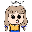 잼보드게임