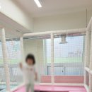 화곡4동 주민센터 이미지