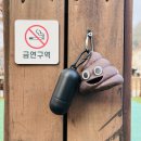 그린펜션 간이화장실 | 가평 강아지 동반 펜션 ‘가평 댕댕이 애견 펜션 그린’ 추천❤️ 내돈내산