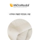 신한밴딩 이미지