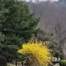 동네마실 이미지