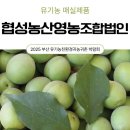 다압축산 네이버블로그