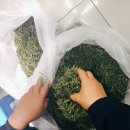 제천중앙동우체국 이미지