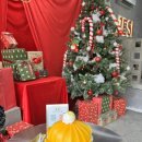 망고 | 나트랑 제시프루츠앤카페 망고빙수 후기