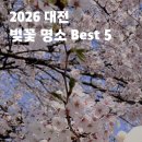 탄동천-1(유성-80) | 2026 대전 벚꽃 나들이 준비 | 현지인이 추천하는 아이랑 가기 좋은 산책 코스 Best 5