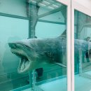 다원약국 | 데이미언 허스트 전시 후기 | 관람 소요시간과 전시 작품 해설