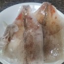 한치로2 이미지