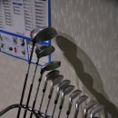 필드로스크린골프 이미지