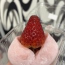 낙지뽁음개미집 | 🇯🇵 도톤보리 맛집 후기(꼭 가봐야 할곳)