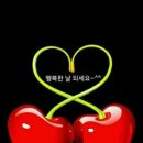 모음집 이미지