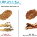 웰너스코리아 주식회사 이미지
