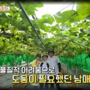 박상윤농장 네이버블로그