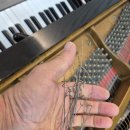 예린음악학원 이미지