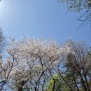 8체질 자가진단 테스트 하는법 확인하고 8체질특징 뜻 직접 정리