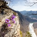 평창 백운산(白雲山) 이미지