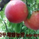 김명환농장 이미지