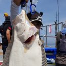 영복1호 이미지