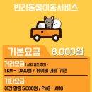 부산펫택시그린 이미지