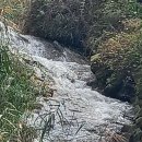 붕어빵엔 붕어가 없고 더덕골엔 더덕이 없다. 이미지