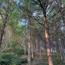 동로치안센터 이미지