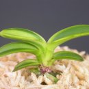 후암농장 이미지