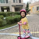 🚲보호장비를 하고 퀵보드를 타요 이미지