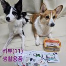 벨라펫 | (여행키트 추천)퓨라벨라 트레블 키트 사용 후기