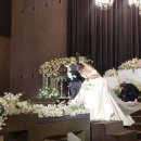 대전 웨딩 스냅 시선스튜디오 결혼식 본식스냅 후기