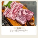 발산역맛집 푸짐한 갓김치와 고기가 맛있는 여수갓육고 후기