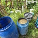 사회적협동조합 희망씨사람들 | [사랑의열매 해외지원사업] 협동조합으로 자립을 꿈꾸다! 달리트 여성 농민들의 여정 #한국희망재단 #HRDF