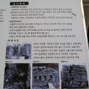 괴정리사지 석조여래입상槐亭里寺址 石造如來立像 | 중원미륵리사지(中原彌勒里寺址)