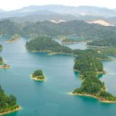 천도체육관 이미지