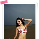 고다미 네이버블로그