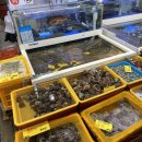 태안선구사 네이버블로그