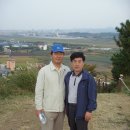 옛날에금잔디 이미지