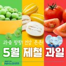 이맘때 과일 이미지