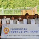 도그피아 애견 훈련 학교 이미지