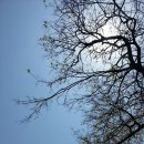 명월돌집 민박 이미지