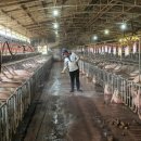 재교농장 이미지